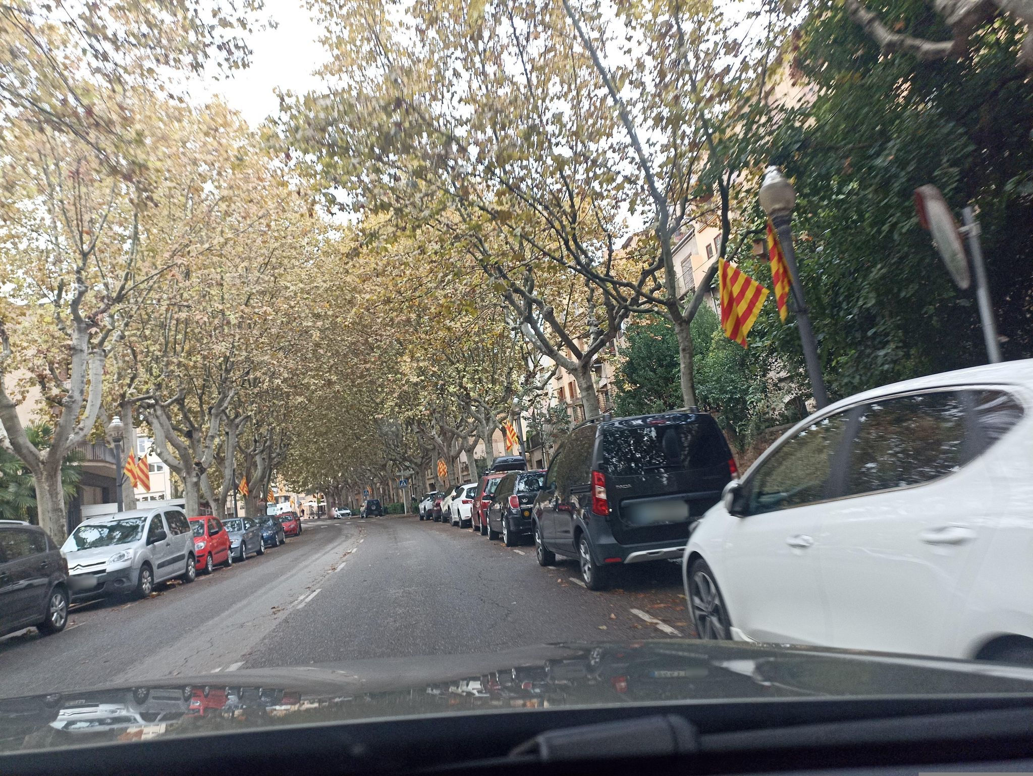 Street view of Solsona