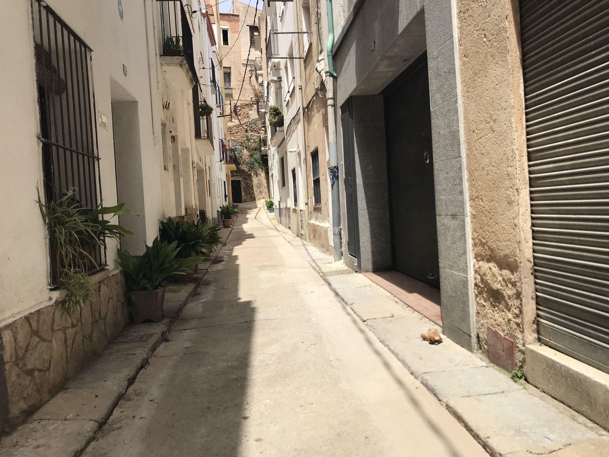 Street view of Blanes