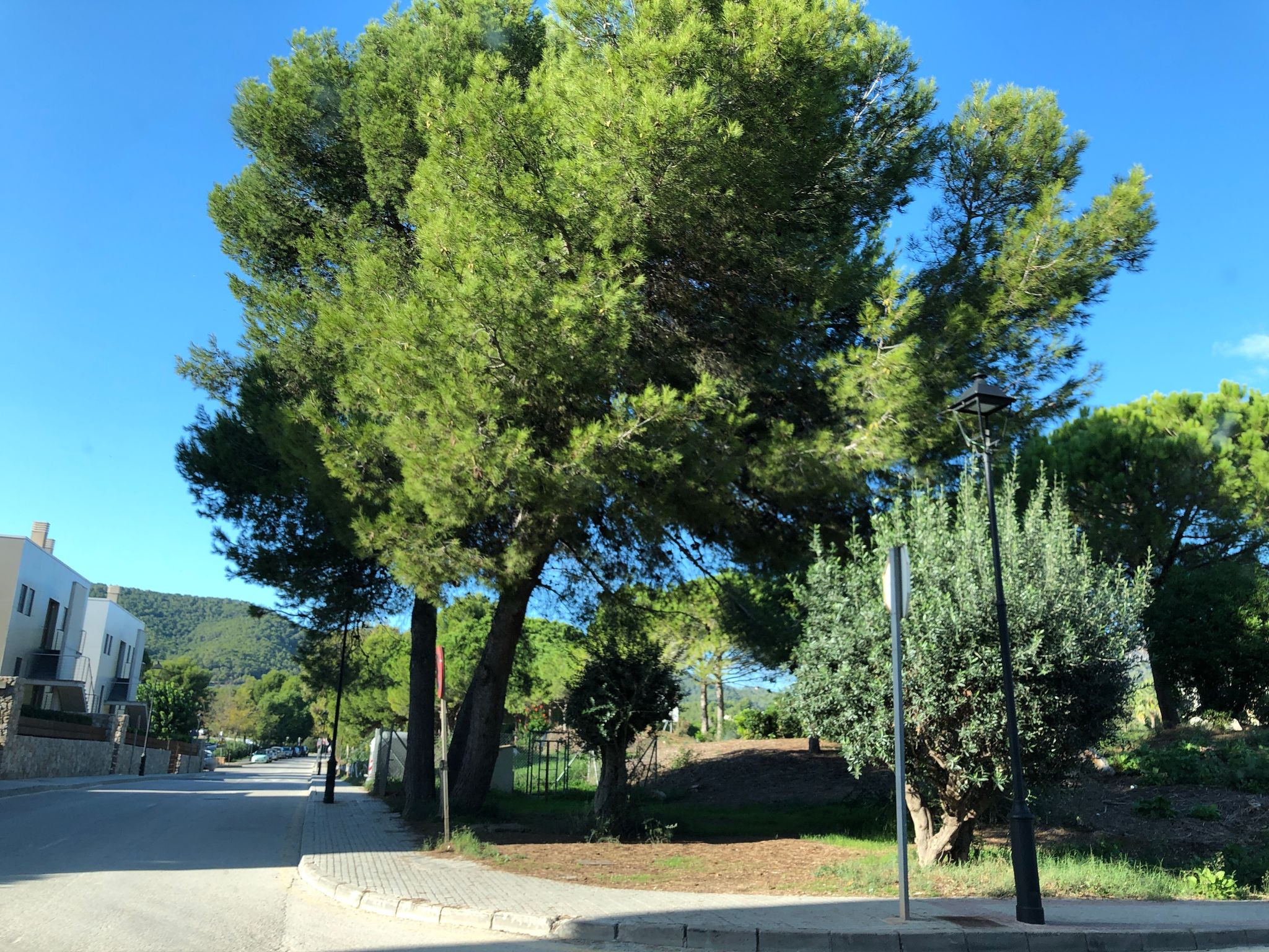 Street view of Camp de Mar