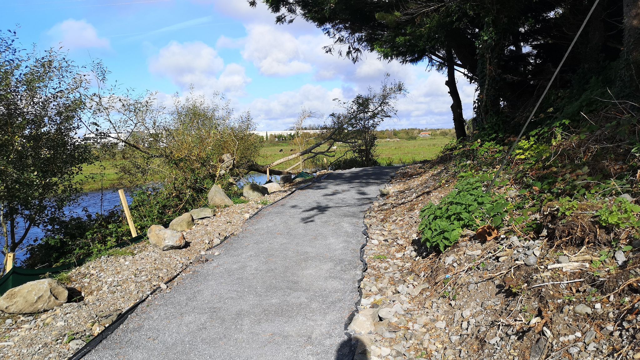 Street view of Gort