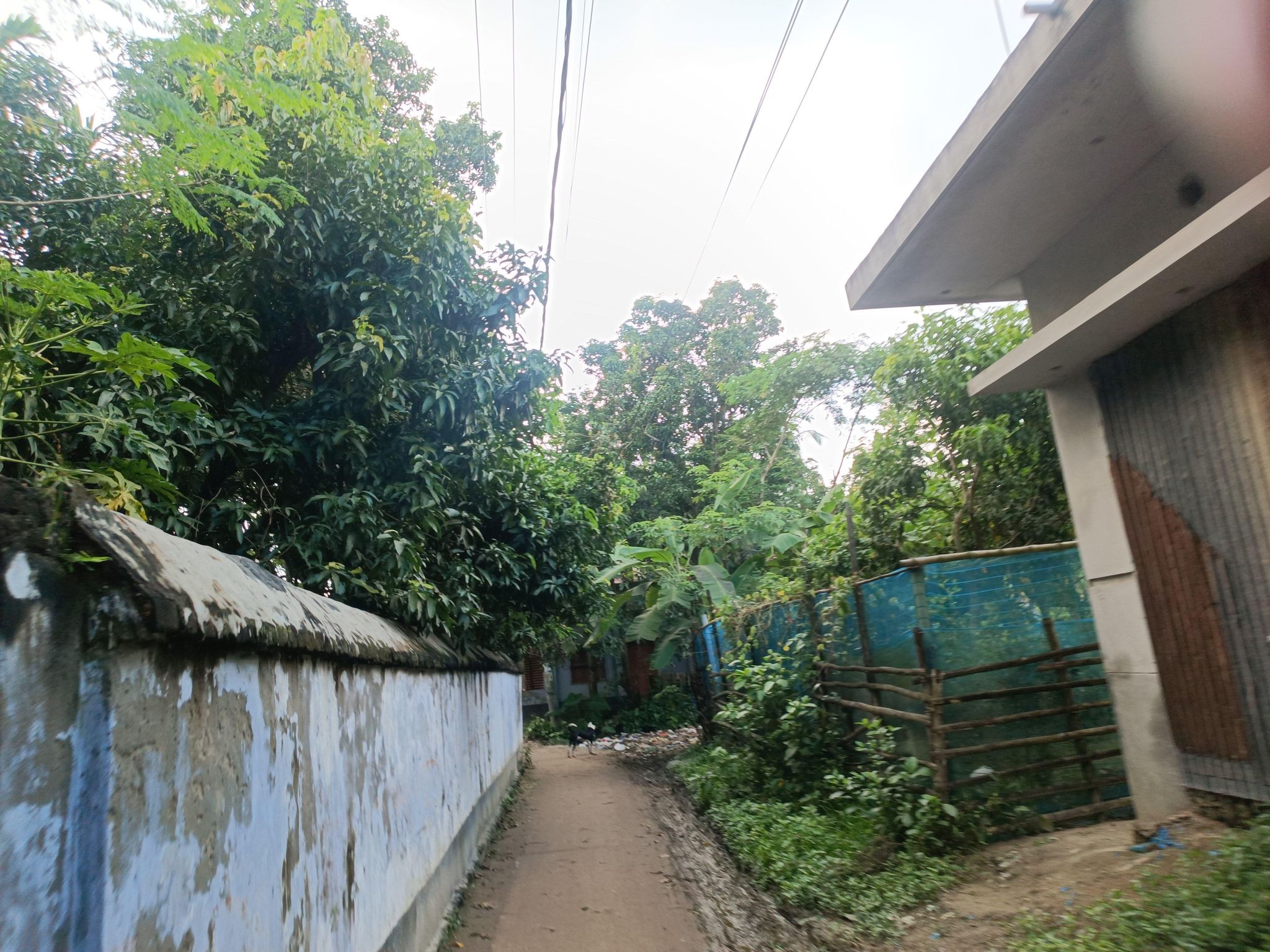 Street view of Pār Naogaon