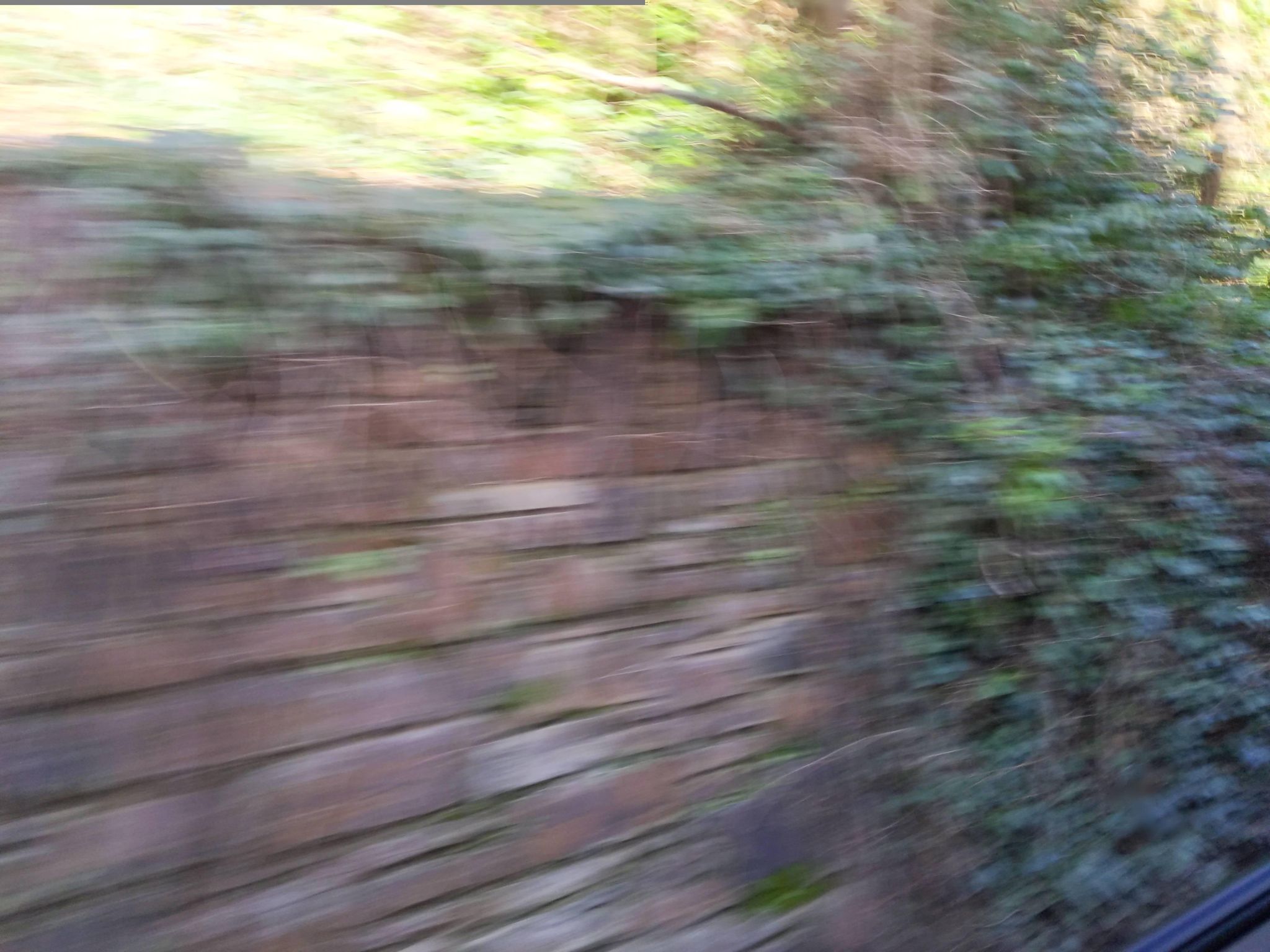 Street view of Fowey