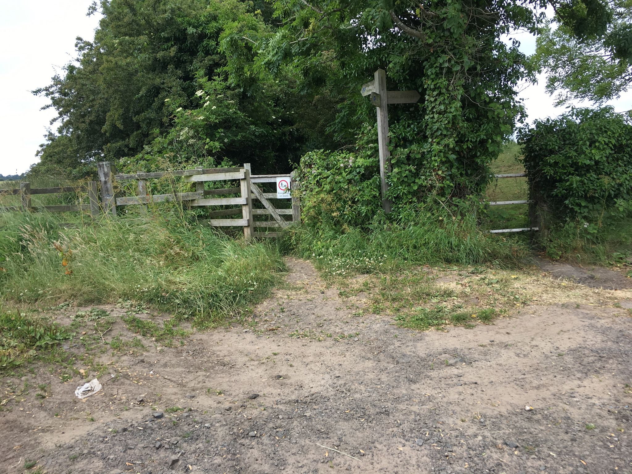 Street view of Belford