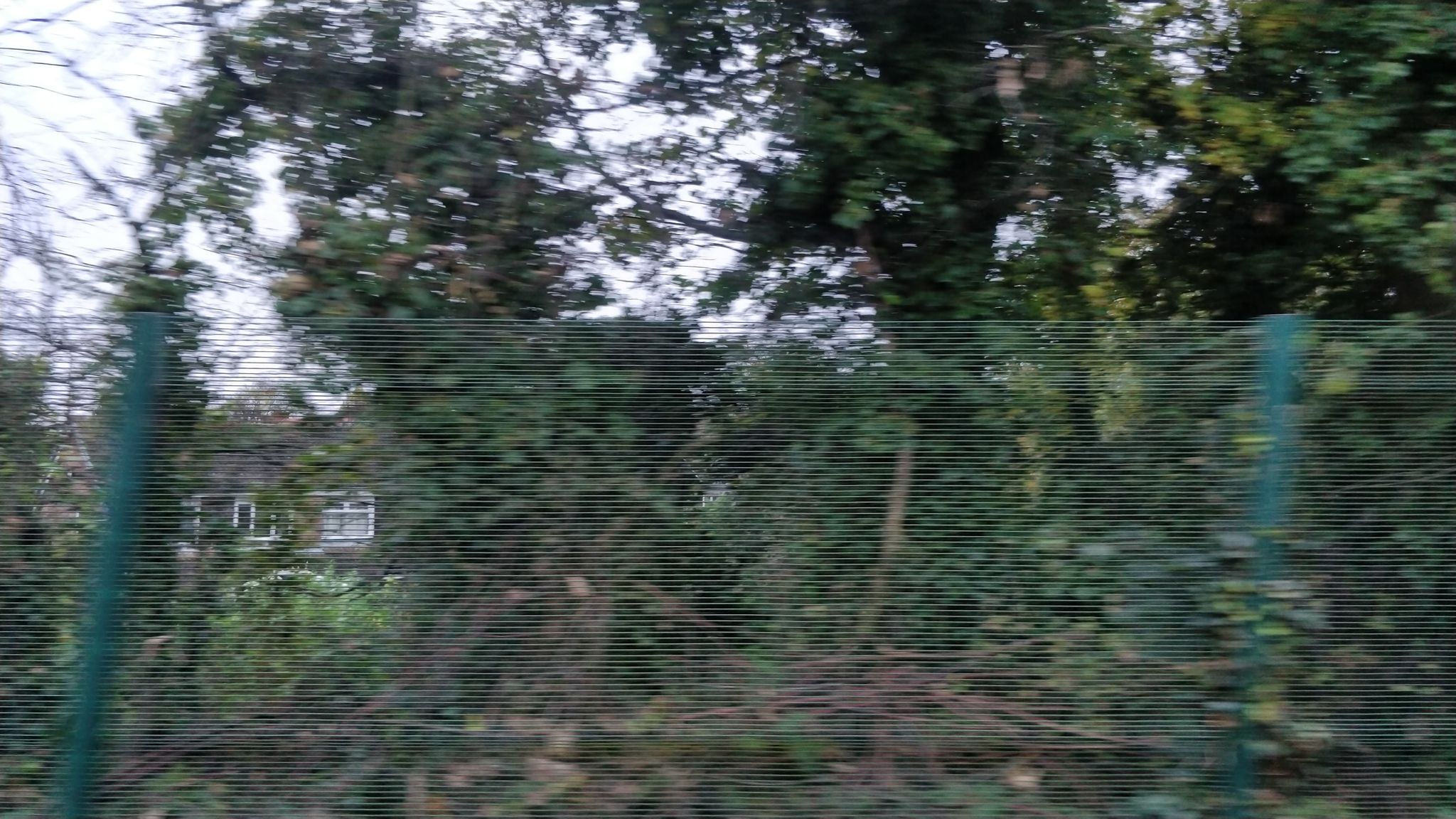 Street view of Parbold