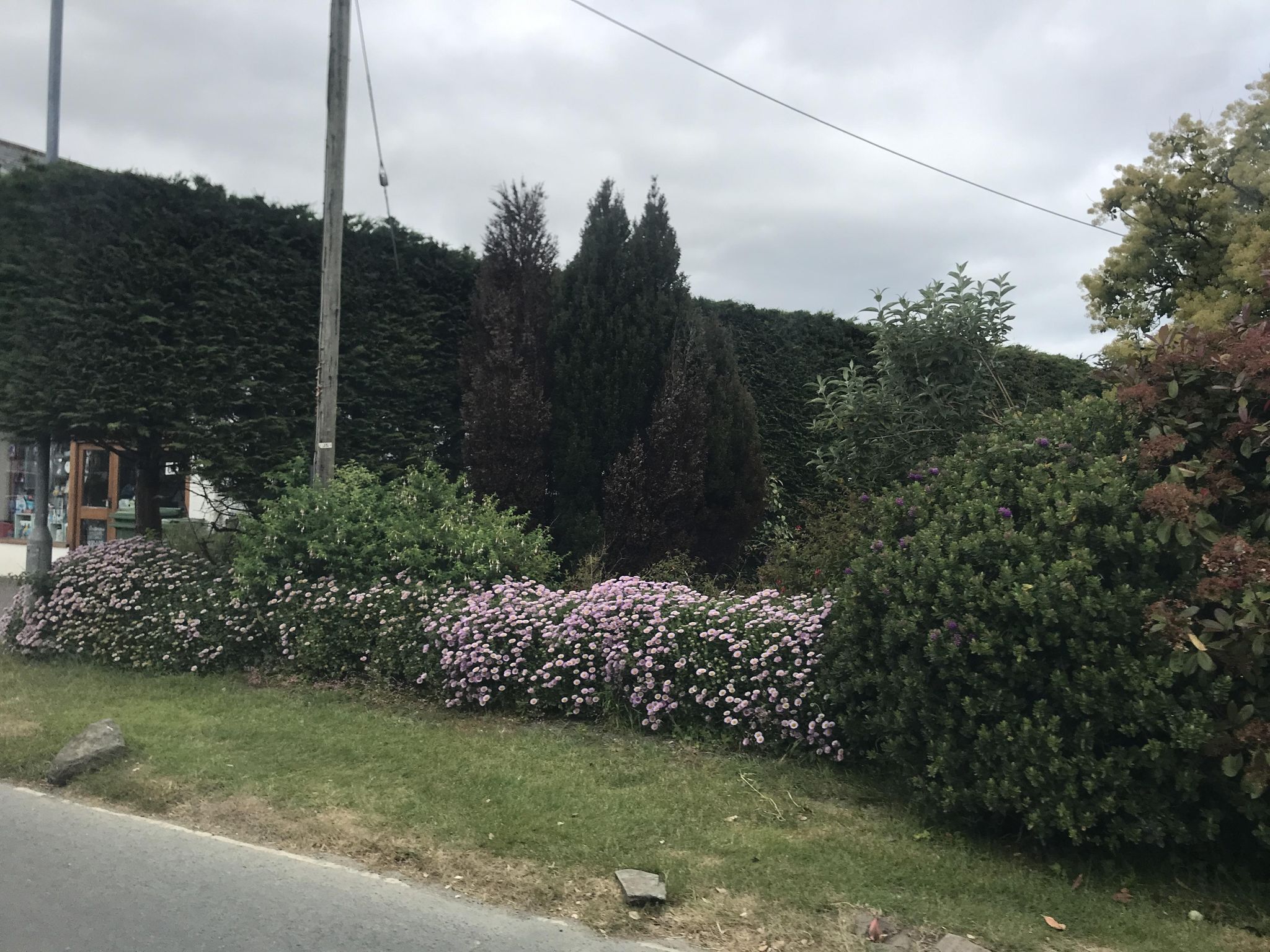Street view of Rock