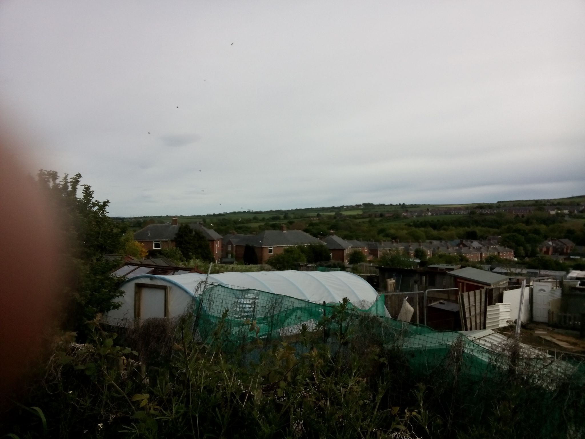 Street view of Ushaw Moor