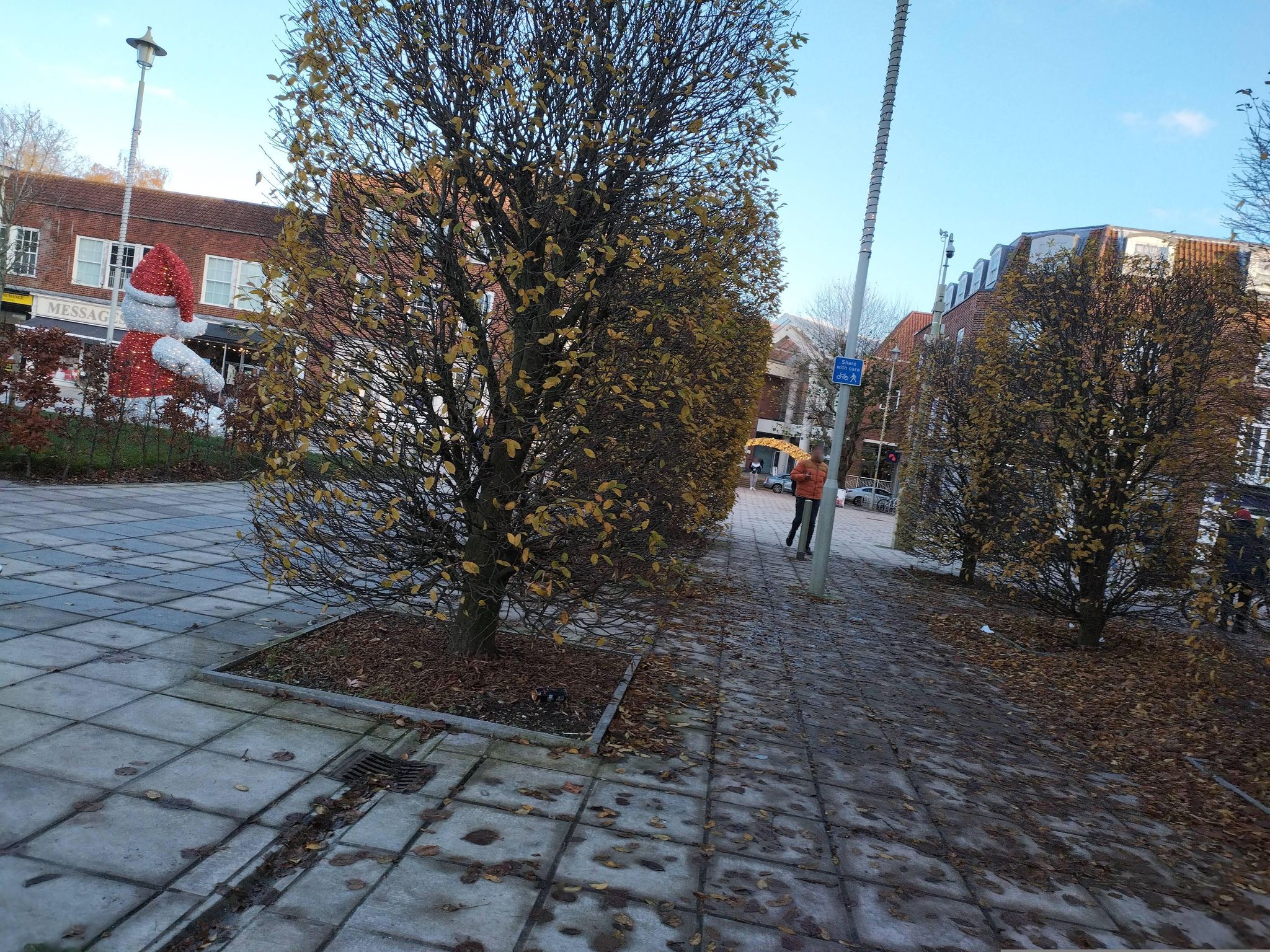 Street view of Welwyn Garden City