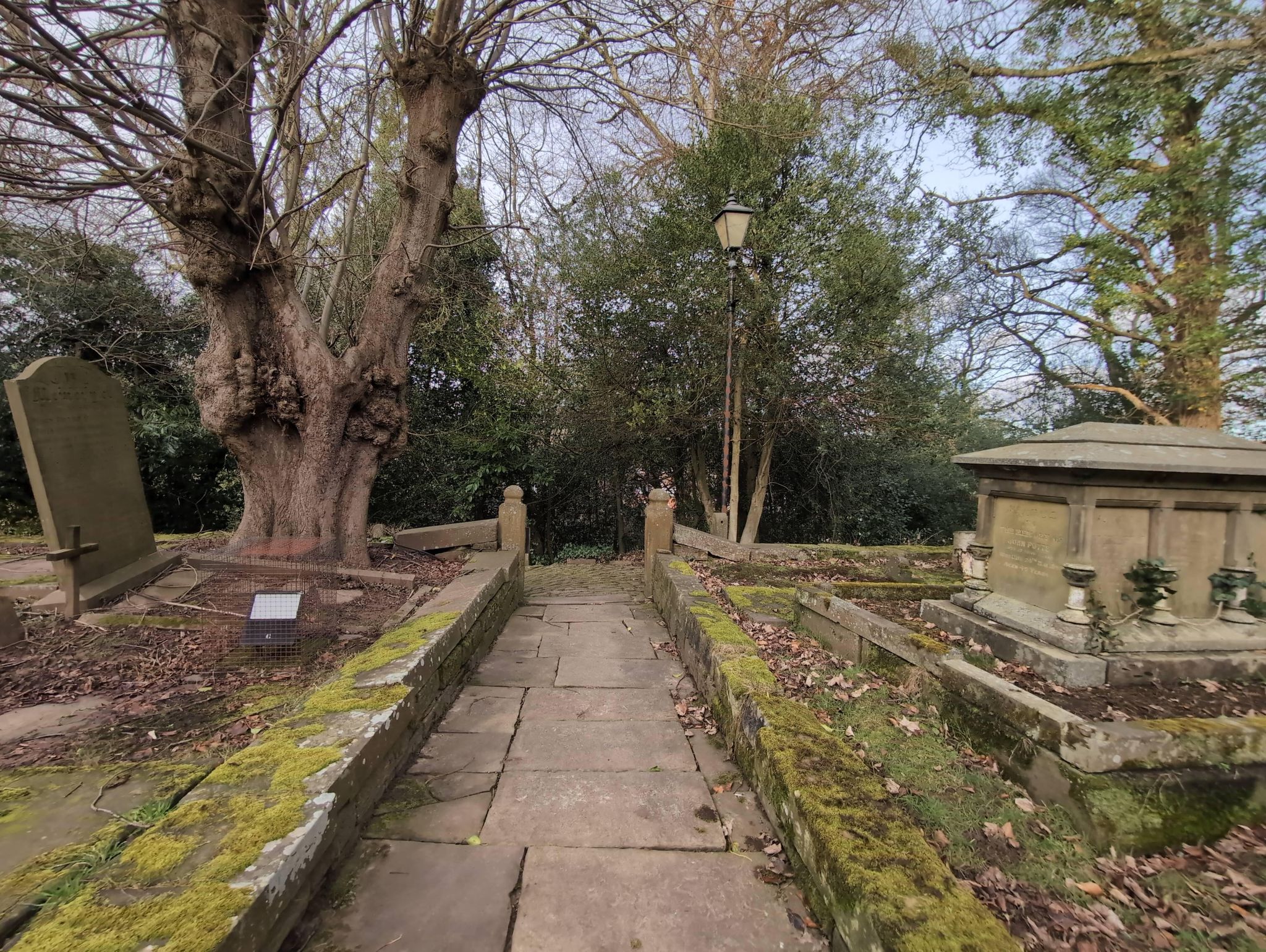 Street view of Disley
