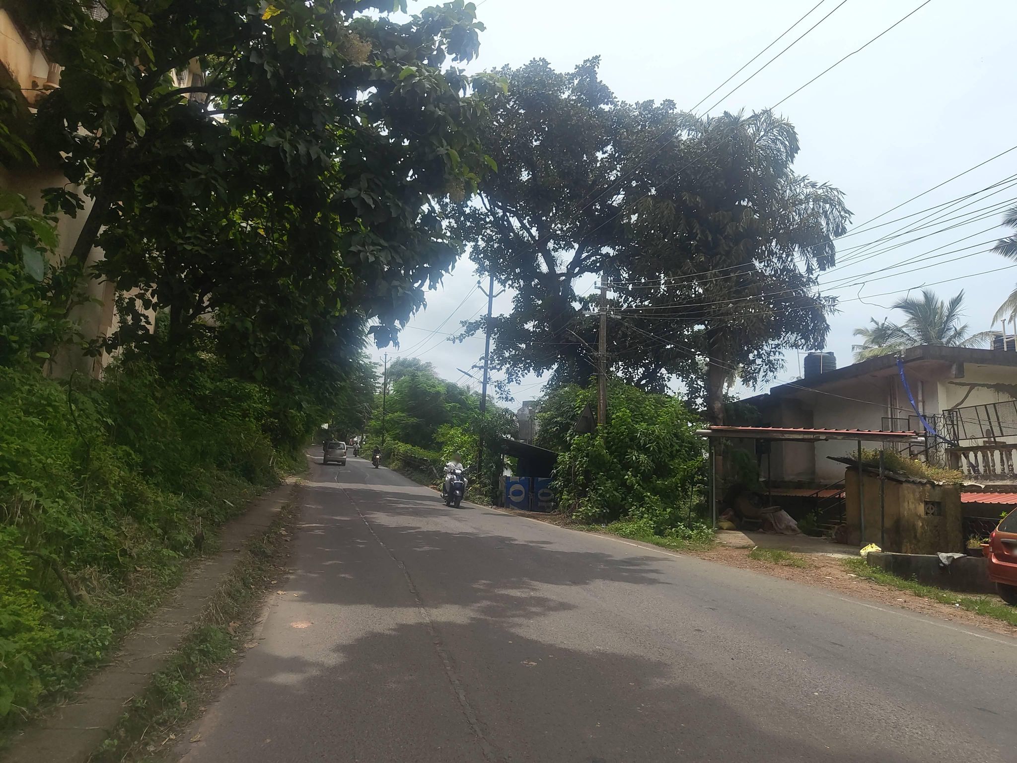 Street view of Vasco da Gama