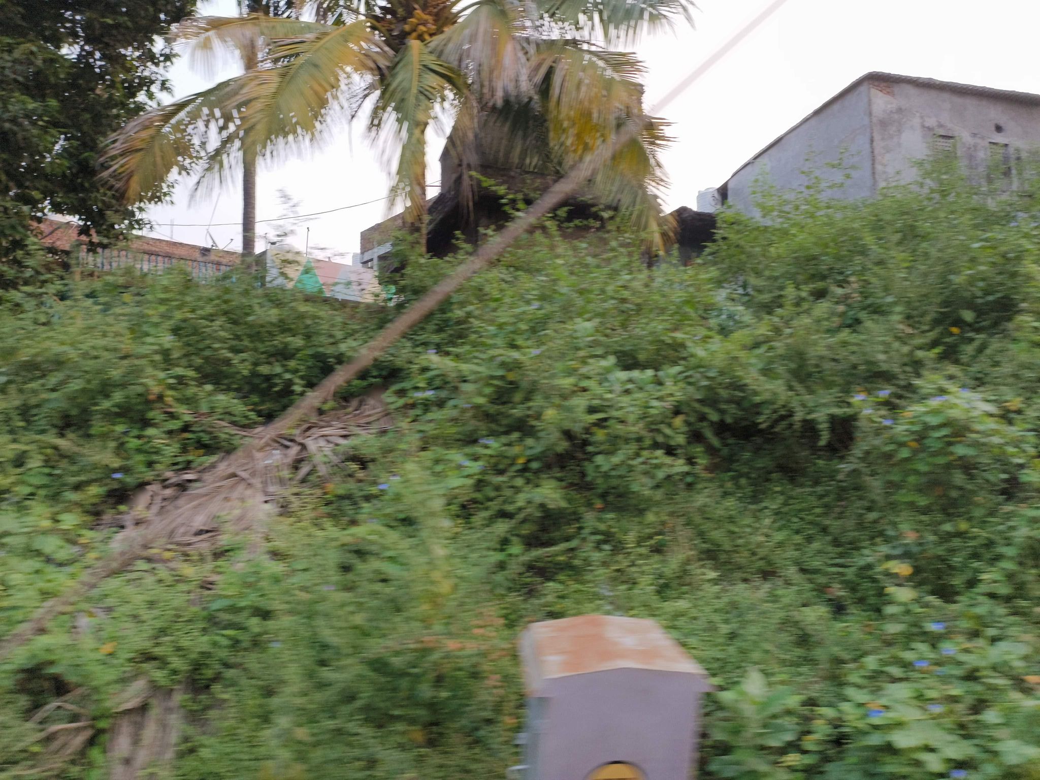 Street view of Rajamahendravaram