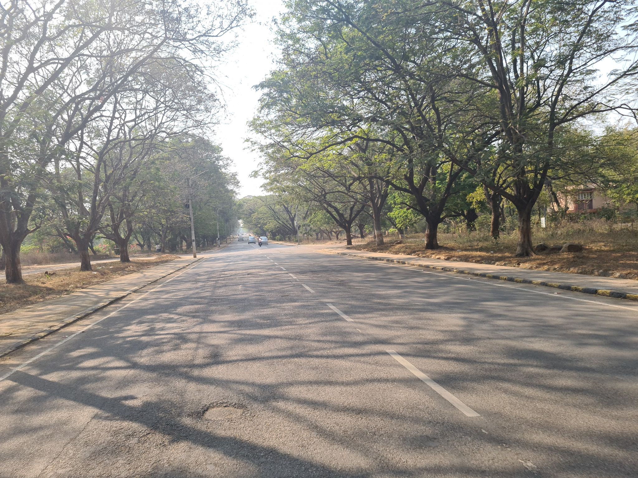 Street view of Serilingampalle